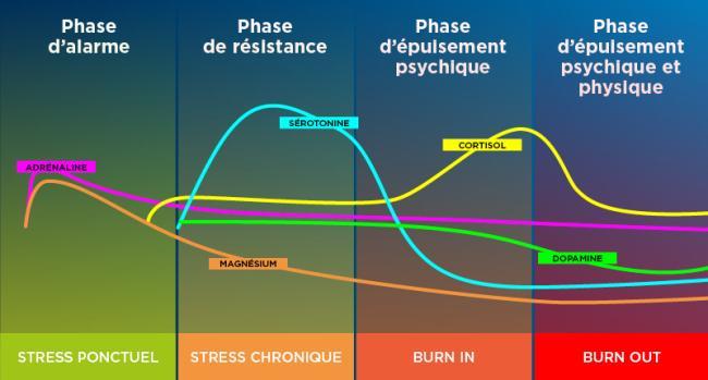 PiLeJe | Stress : son fonctionnement et ses impacts sur la santé